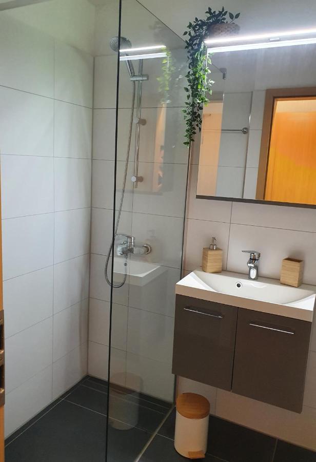 Modernisierte Ferienwohnung Naturseelen Mit Schwimmbad Und Sauna Braunlage Exterior foto